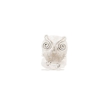 Load image into Gallery viewer, Wise Old Owl | Earrings, Pendant, Ring, Cuff
